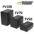 Sony NP-FV30, NP-FV40, NP-FV50 Battery (2-Pack) and Charger by Wasabi Power For Cheap