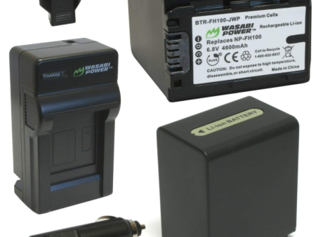 Sony NP-FH100 Battery (2-Pack) and Charger by Wasabi Power For Cheap