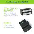 Sony NP-F730, NP-F750, NP-F760, NP-F770 (L Series) Battery (2-Pack) and Dual Charger by Wasabi Power Supply