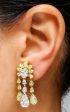 Platinum and Yellow Gold Diamond and Yellow Diamond Tassel Earrings Fashion